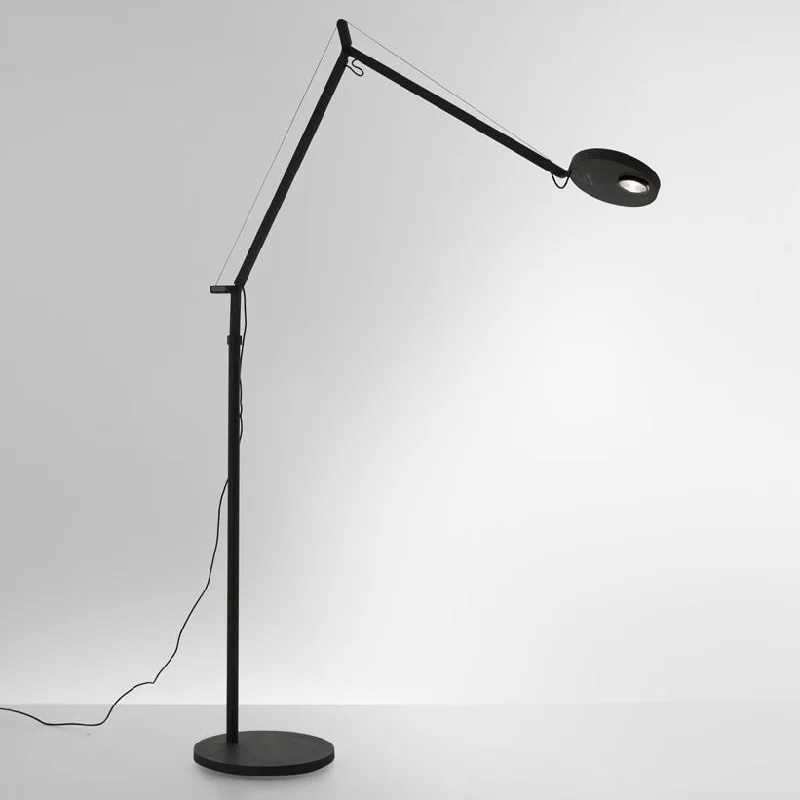 Demetra Professional LED Floor Lamp