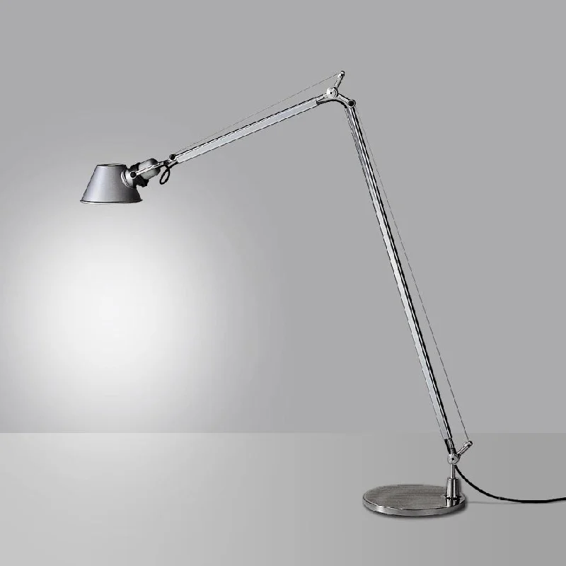 Artemide Tolomeo Reading Floor Lamp